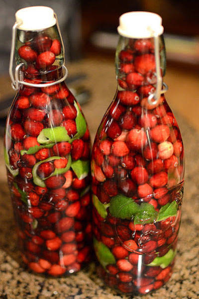 winter-wedding-favors-cranberry-vodka-fancy-napkin