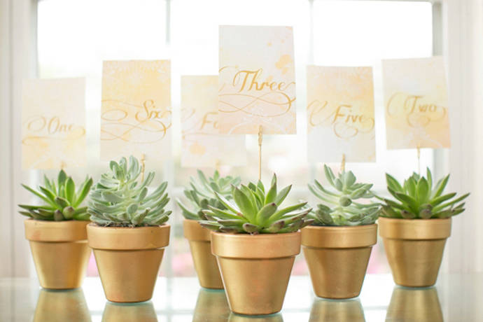 succulent-wedding-favors1